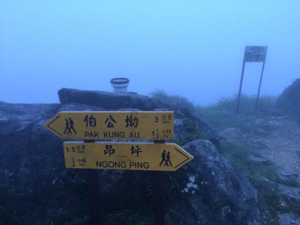 救援受困的萌兔