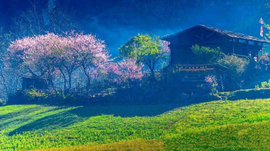 饿狮救援